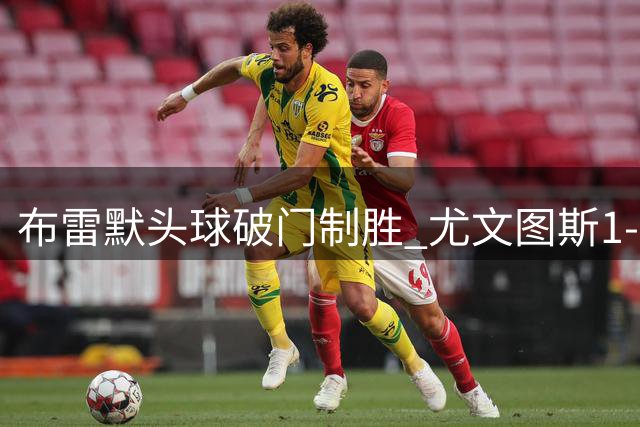 布雷默头球破门制胜 尤文图斯1-0胜弗罗西诺内