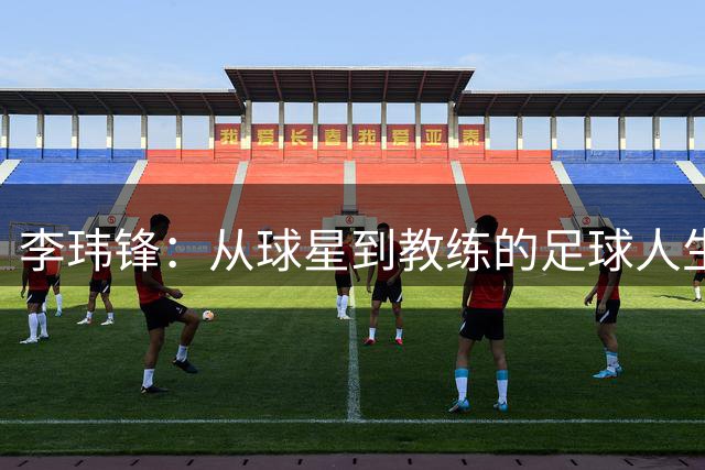 李玮锋：从球星到教练的足球人生